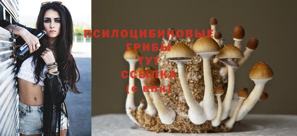 MDMA Premium VHQ Михайловка