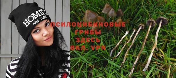 шишки Михайлов