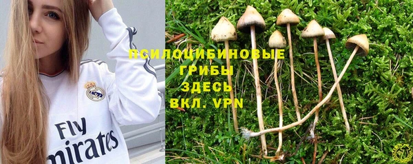 шишки Михайлов