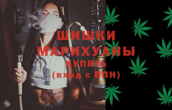 шишки Михайлов