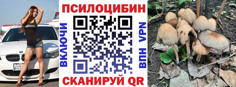 Галлюциногенные грибы Psilocybe  Электрогорск 